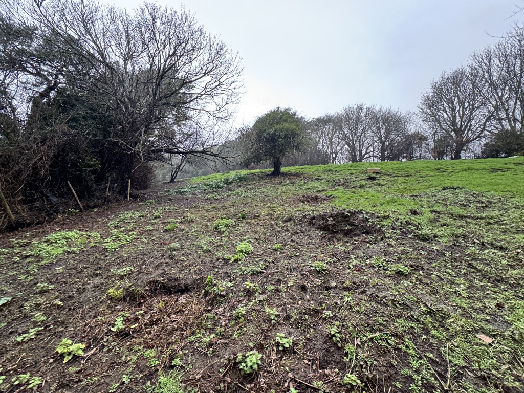 Lot: 16 - EXMOOR EDGE PASTURE WITH MAINS WATER AND VIEWS - Field view